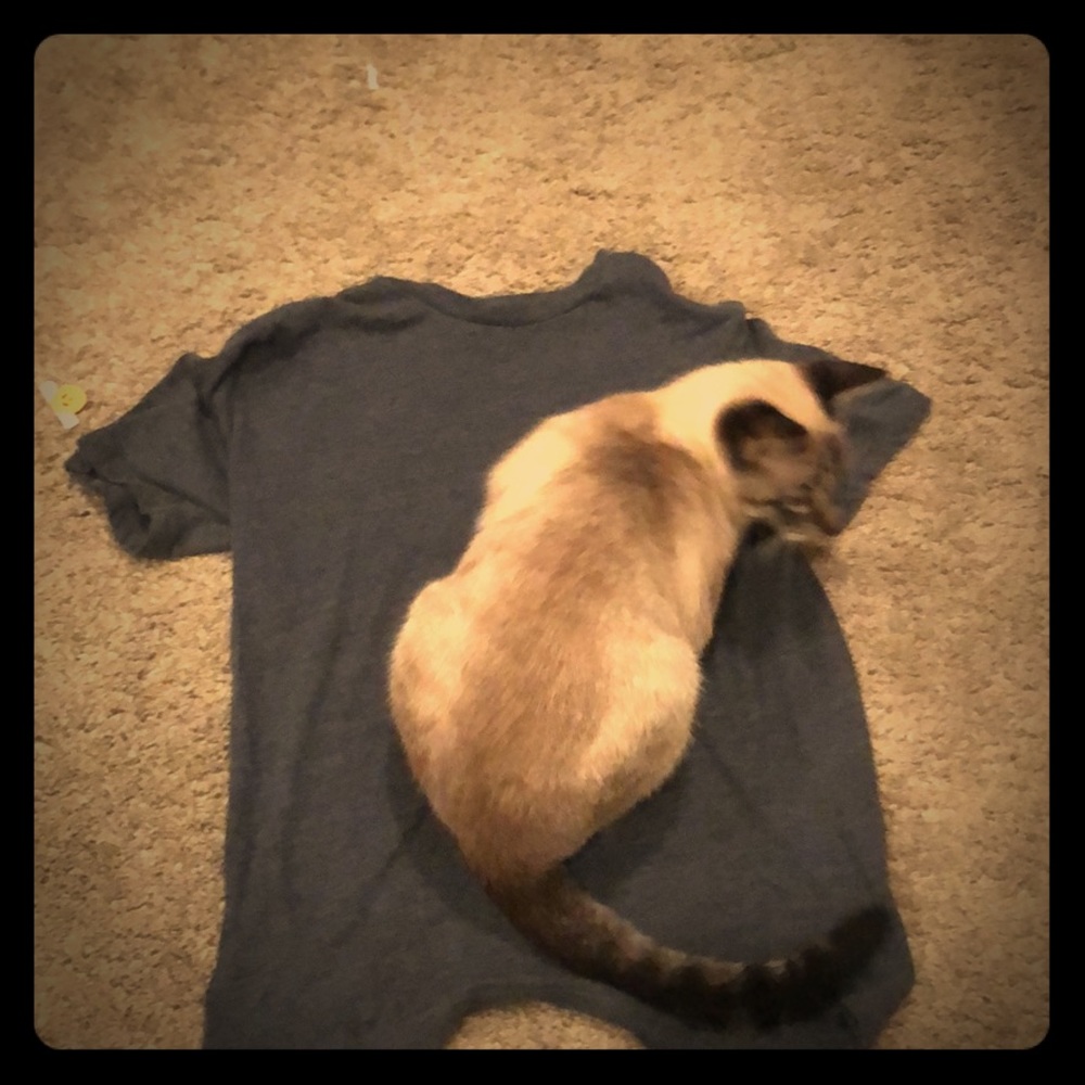 I am selling a regular tee shirt Harper canyon tee